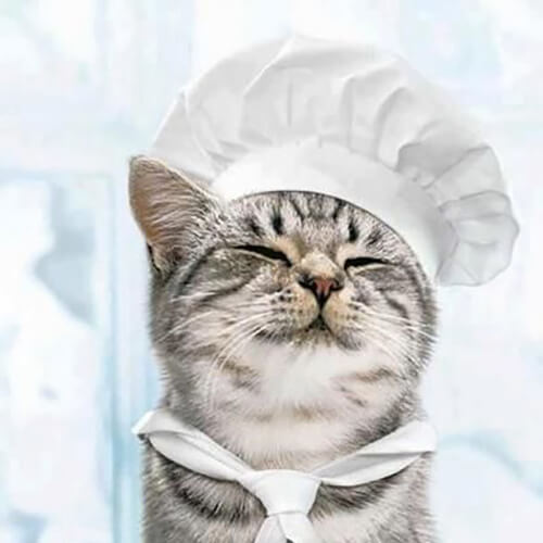 Cat Chef Hat1